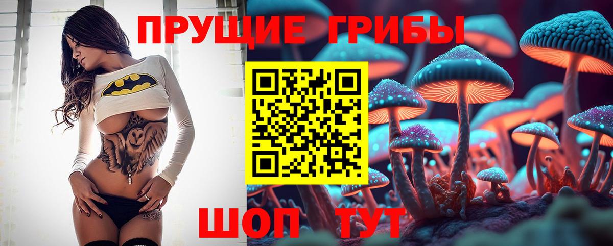 хочу наркоту  Вход с VPN  Солнечногорск  Псилоцибиновые грибы Psilocybe  Галлюциногенные грибы мицелий 
