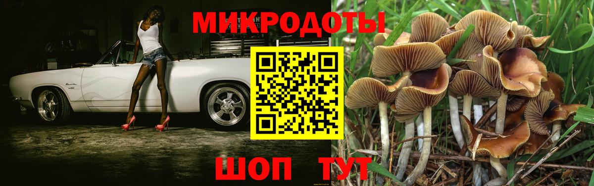 Галлюциногенные грибы GOLDEN TEACHER Солнечногорск